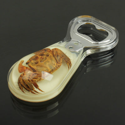 Eye-catching Crab Amber Bottle Opener Bottle Open Tool