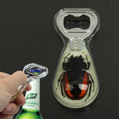 Eye-catching Beetle Amber Bottle Opener Bottle Open Tool