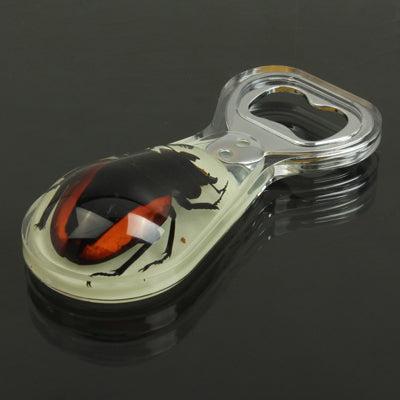 Eye-catching Beetle Amber Bottle Opener Bottle Open Tool