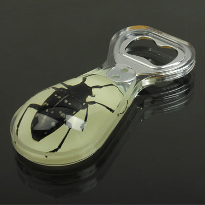 Eye-catching Longicorn Style Amber Bottle Opener Bottle Open Tool