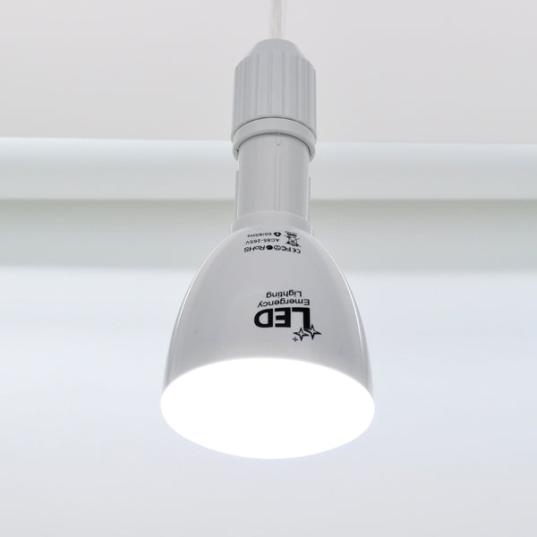 2 in 1 Apollo Style 4W Bulb & Flashlight Combination with Remote Control(White)
