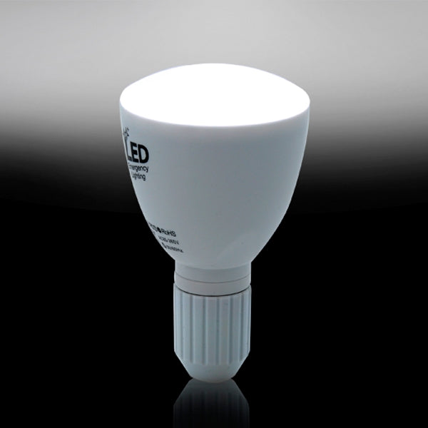 2 in 1 Apollo Style 4W Bulb & Flashlight Combination with Remote Control(White)