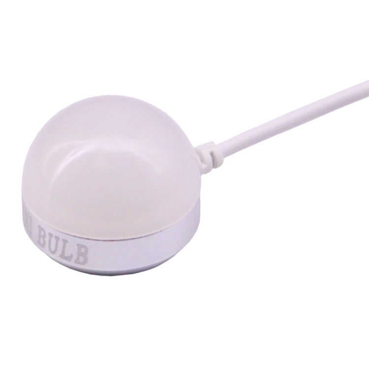 2W USB LED Light Bulb with Magnetic & Cable, USB-2W-W