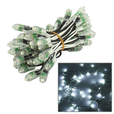 50 White LED Waterproof String Lights, DC 12V