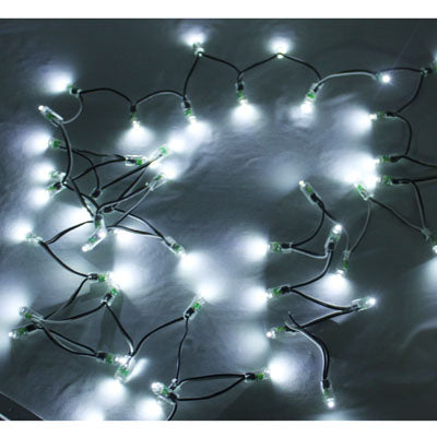 50 White LED Waterproof String Lights, DC 12V