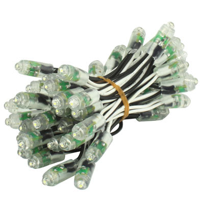 50 White LED Waterproof String Lights, DC 12V