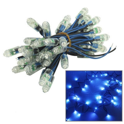 50 Blue LED Waterproof String Lights, DC 12V