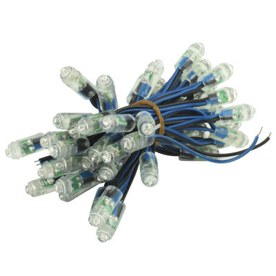 50 Blue LED Waterproof String Lights, DC 12V