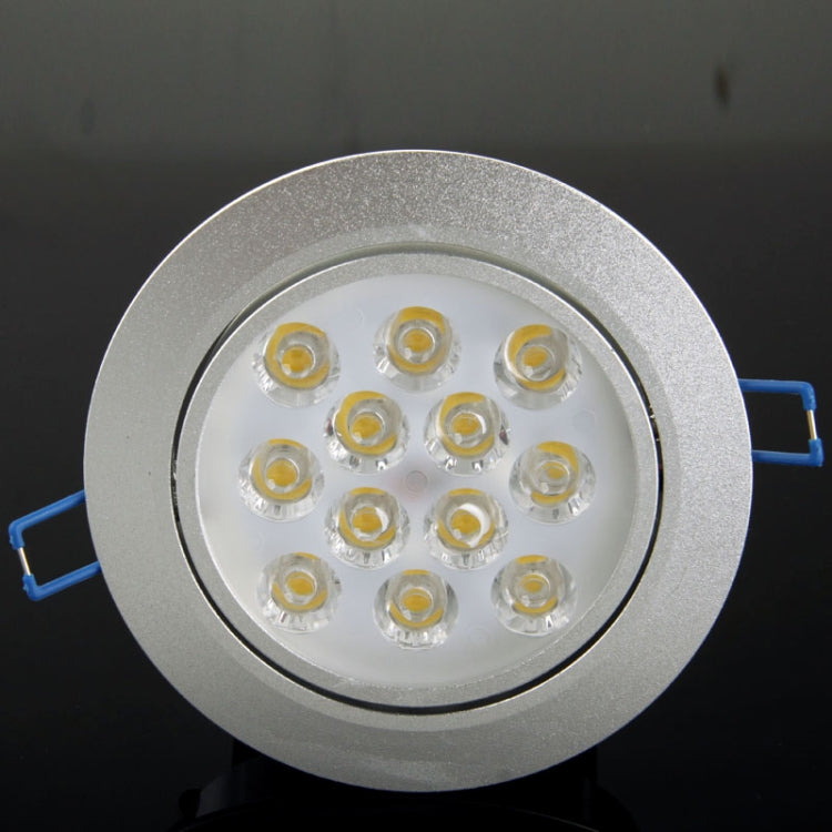 12W Ceiling Lights LED Down Light Bulb, 12 LED, W