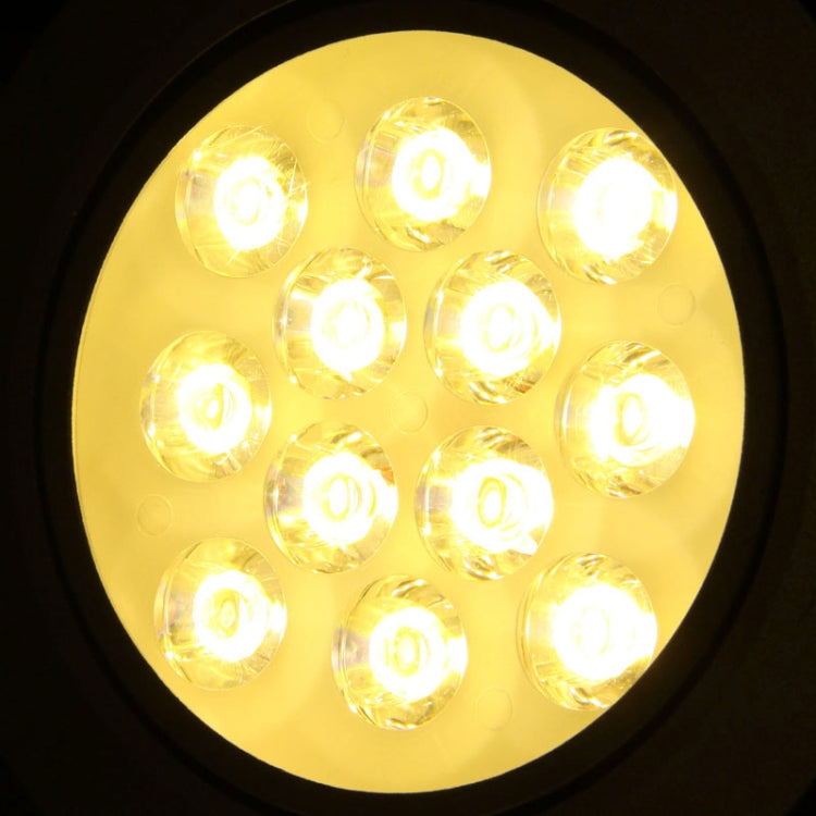 12W Ceiling Lights LED Down Light Bulb, 12 LED, W