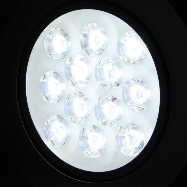 12W Ceiling Lights LED Down Light Bulb, 12 LED, W