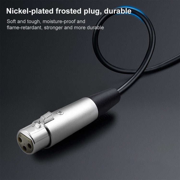 6.35mm TRS Male to XLR Female Microphone Cable, Length: 3m