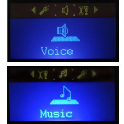 TF (Micro SD) Card Slot MP3 Player with LCD Screen, Speaker