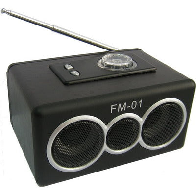 Mobile speaker with FM Radio, Built in Rechargeable Li-ion Battery(Black)