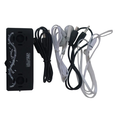 Multifunctional Mini Speaker, Support TF Card and USB Flash Disk, Built-in Rechargeable Li-ion Battery(Black)