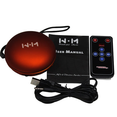 Portable Speaker with Remote control, Support FM Radio, TF Card Reader, Built in Rechargeable Li-ion Battery