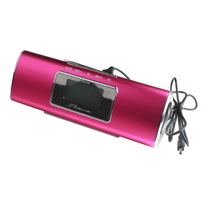 Portable Speaker with Remote Control, Support FM Radio, TF Card & U Disk Reader, Built in Rechargeable Li-ion Battery,