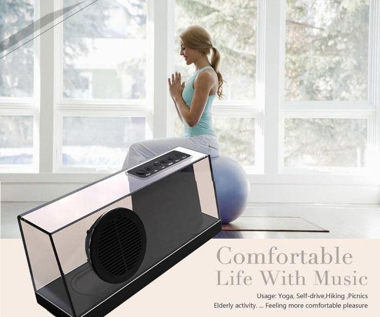SARDiNE SDY033 Multifunctional Wireless Bluetooth Speaker , with Mic & LED Display, Support Hands-free Answer Phone & FM Radio & TF Card