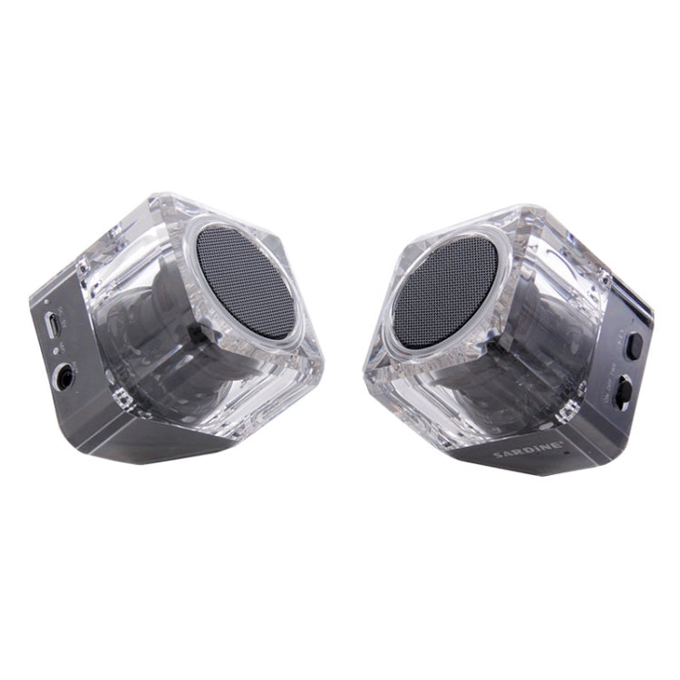 SARDiNE B5 TWS Crystal Case Bluetooth Speaker with Mic & LED Light