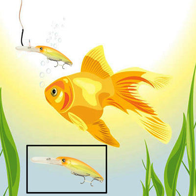 Hard Fishing Lure with 2 Hooks