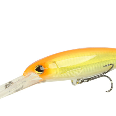 Hard Fishing Lure with 2 Hooks