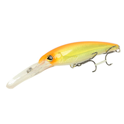 Hard Fishing Lure with 2 Hooks