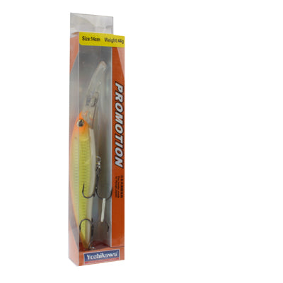 Hard Fishing Lure with 2 Hooks