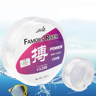 100m Extra Strong 2# 0.234mm 6.7kg Nylon Monofilament Fishing Line (Transparent)
