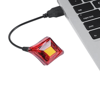 USB Rechargeable 3-Mode 2-LED Red Light Bicycle Taillight (GE-1)
