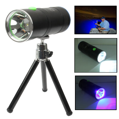 Small Sun 5W Blue & White LED Fishing Light with Tripod Stand(Black)