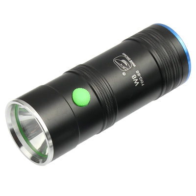 Small Sun 5W Blue & White LED Fishing Light with Tripod Stand(Black)
