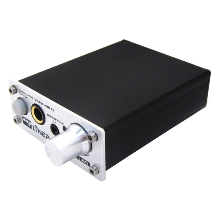 A907 Professional Two-channel Microphone Amplifier Dual Microphone Reverb