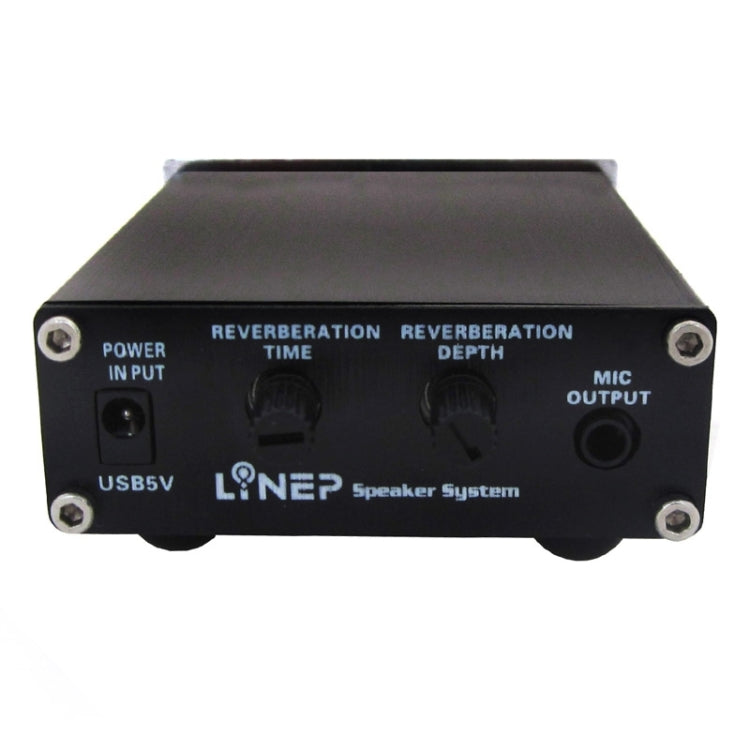 A907 Professional Two-channel Microphone Amplifier Dual Microphone Reverb