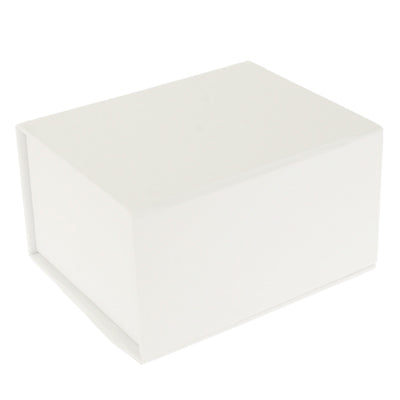 NTSC / PAL Format Mutual Converter(White)