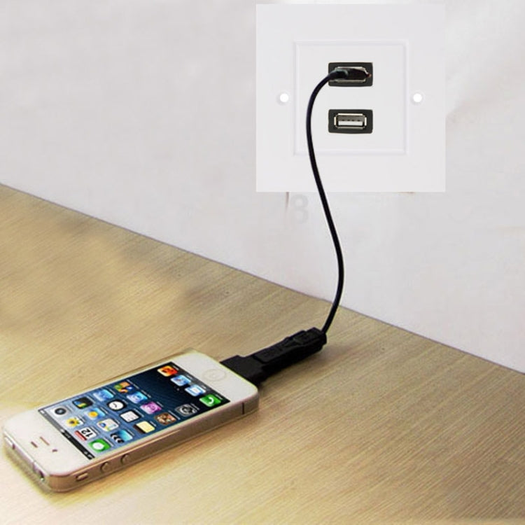 Dual USB 2.0 Female Plugs Home Wall Charger Plate Wall Plate Panel