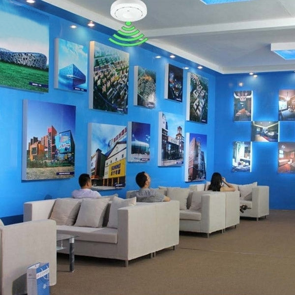 300Mbps Ceiling Mount Wireless PoE Range Extender /Access Point AP/WDS/Repeater, Sign Random Delivery(White)