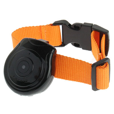 Pet Camera with Taking Picture, Support TF Card