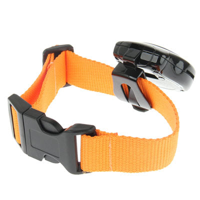 Pet Camera with Taking Picture, Support TF Card
