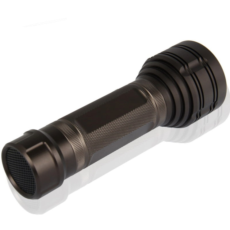 Flashlight DVR with Motion Detection Auto Recording / Photo Shooting / Sound Recording / Emergency Alarm / PC-camera Function, Support TF Card(Black)