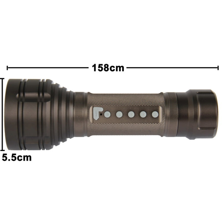 Flashlight DVR with Motion Detection Auto Recording / Photo Shooting / Sound Recording / Emergency Alarm / PC-camera Function, Support TF Card(Black)