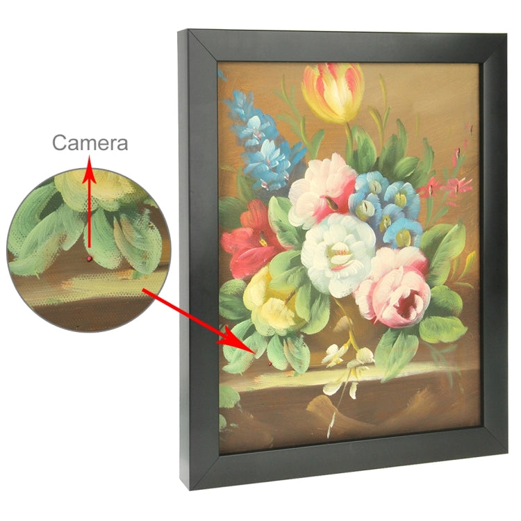 4GB Painting Style Security Camera with Remote Control (Video Resolution: 720x480)(Black)