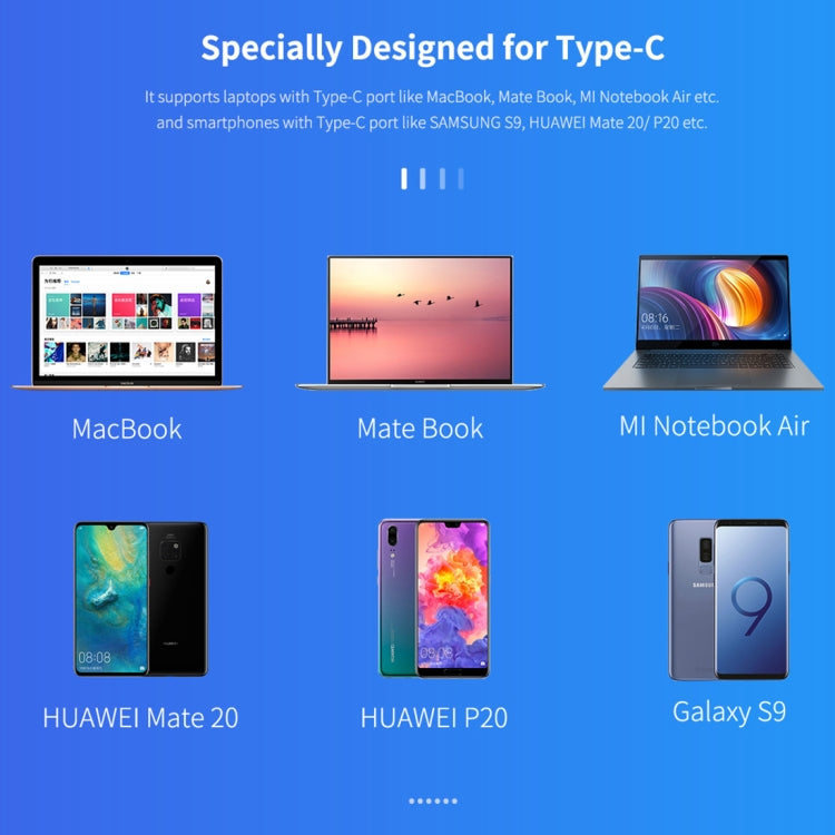 ROCK USB-C / Type-C to HDMI + VGA Female Transfer Cable Converter(Grey)