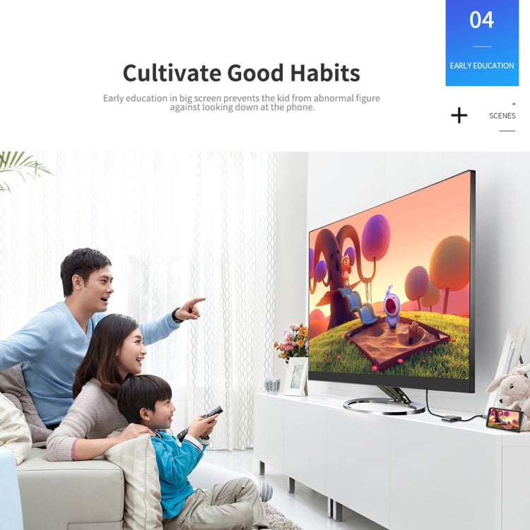 ROCK USB-C / Type-C to HDMI + VGA Female Transfer Cable Converter(Grey)