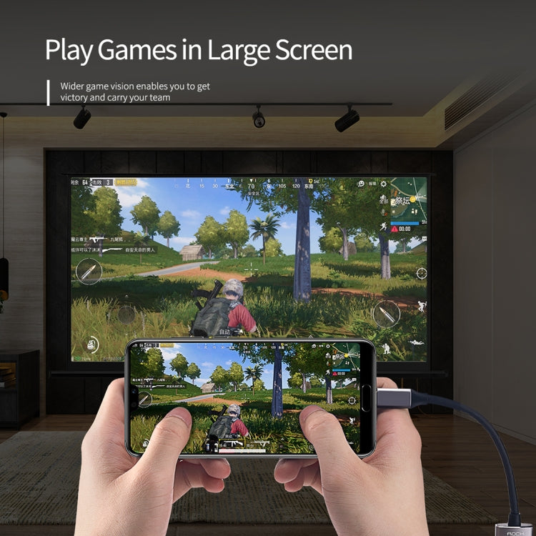 ROCK USB-C / Type-C to HDMI Female Transfer Cable Converter(Grey)