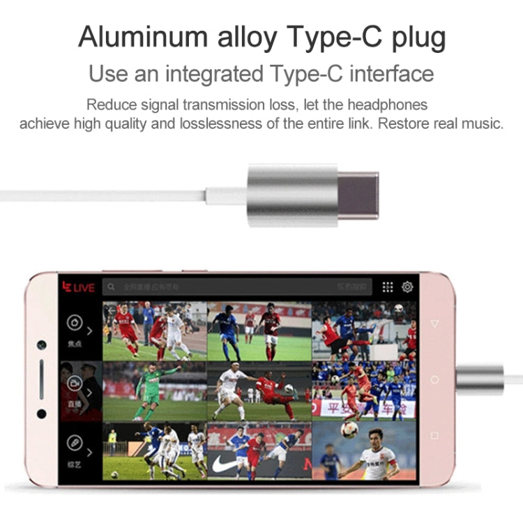 YX-022 1.2m Wired In Ear USB-C / Type-C Interface Metal Stereo Earphones with Mic