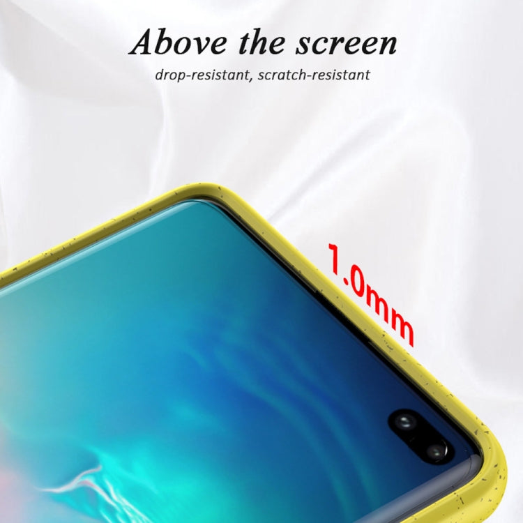 Starry Series Shockproof  Straw Material + TPU Protective Case for Galaxy S10