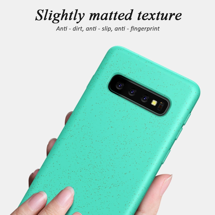 Starry Series Shockproof  Straw Material + TPU Protective Case for Galaxy S10