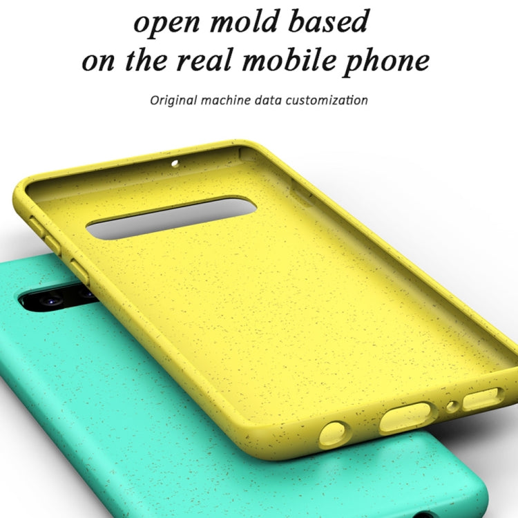 Starry Series Shockproof  Straw Material + TPU Protective Case for Galaxy S10+