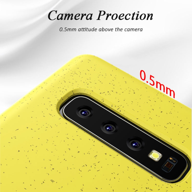 Starry Series Shockproof  Straw Material + TPU Protective Case for Galaxy S10+