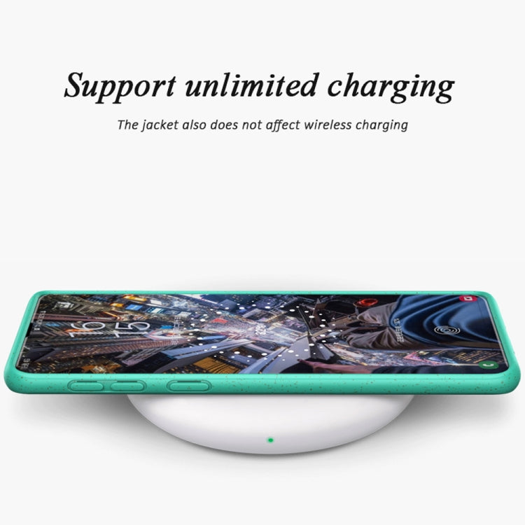 Starry Series Shockproof  Straw Material + TPU Protective Case for Galaxy S10+
